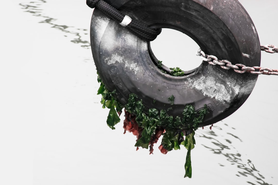 Photo Image: Chains Nouns: Oppression, captivity